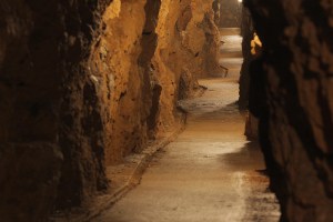 8232497112_ddaba4ccc5_b