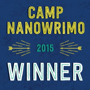 Camp-Winner-2015-Twitter-Profile