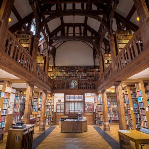 Library traditional wooden bookshelves classic fiction